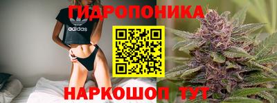 Альфа ПВП Славянск-на-Кубани