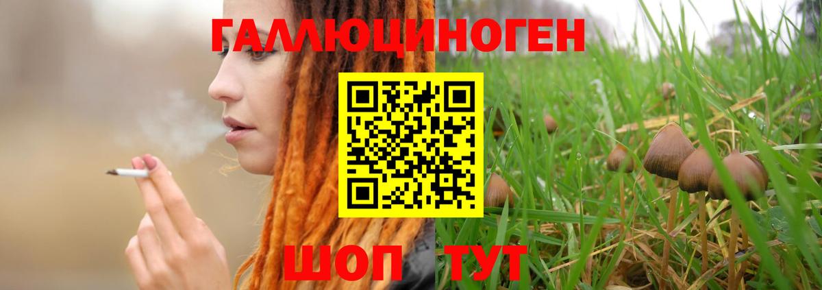 Псилоцибиновые грибы MAGIC MUSHROOMS  Вход с VPN  Галлюциногенные грибы мицелий  Семилуки 